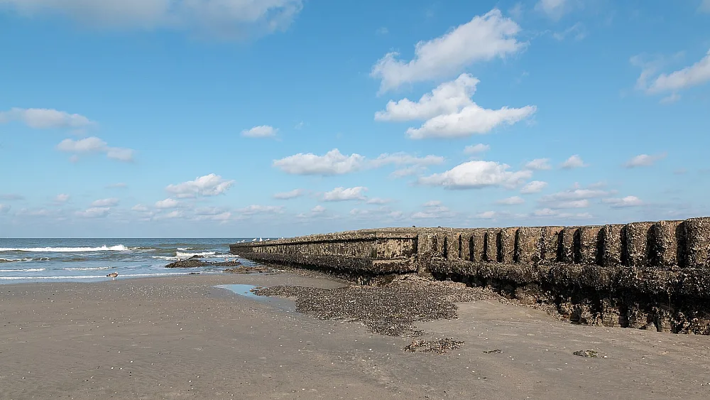 North Sea coastline at low tide